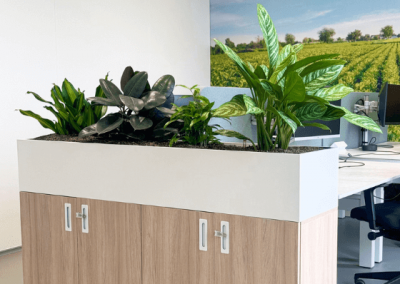 Planten-op-kantoor-plantenbak-kast